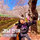 2025 진해군항제 기본정보 교통 위치