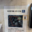 피터펫카페 가덕도점 | &lt;서울 논현동&gt; 피터펫카페 내돈내산 강남애견카페 후기