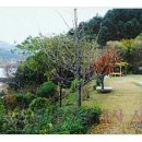 홍천강공인중개사사무소 이미지