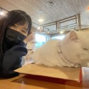 포토이즘박스평택역점