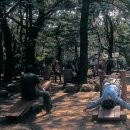 구덕산책로 숲길 이미지
