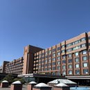 호텔3월 | 일본 가고시마 3월 여행 시로야마 가고시마 호텔 후기