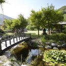 고라데이마을 이미지