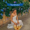 (주)해피브런치 | 시드니 모스만 부촌 탐방, NICHE 브런치 맛집까지 완벽 코스!