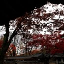 별님약국 이미지