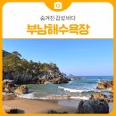 부남 | 숨겨진 감성 바다 부남해수욕장 | 삼척 가볼만한곳