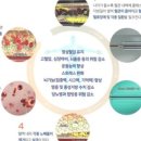 청담모네의원 이미지