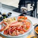 강릉 주문진 맛집, 현지인이 추천하는 주문진 수산시장 대게 맛집 주문활게 대게 세트 후기