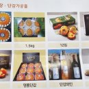 온동농장 이미지