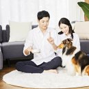 라이코 바이탈 코리아 이미지