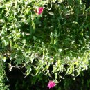 전원어린이집 이미지