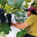 연진농장 이미지