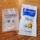 역곡역 편안한 연합의원에서 감기몸살 진료 후기