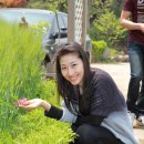 최선미 Daum카페