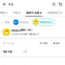 모요 이미지