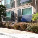 월드 태양광발전소 이미지