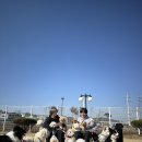 몽글몽글 애견유치원 이미지