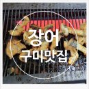 영광풍천장어 이미지