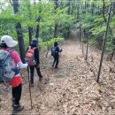 내곡동422 이미지