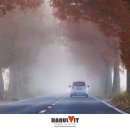 죽동마을 이미지