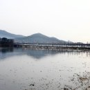 완도전복수산