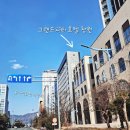 상남동262 이미지