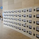 솔안말어린이공원 | 4살 아이와 다녀온 국립중앙 박물관 후기 / 어린이박물관 강력추천