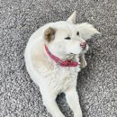 퐁낭뜰 | 무계획 제주여행기 두번째🍊