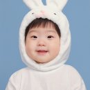 씨엔토 이미지