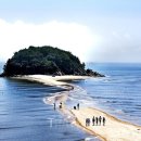 신비바이크 이미지