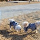 생림오토캠핑장 이미지