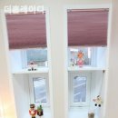 더홈레이디 이미지