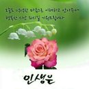 평소의 몰랐던 바세린의 이색 활용법 15가지 이미지