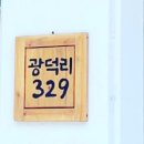광덕리 329