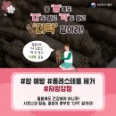 건강꿀단지