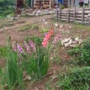 민이네농장 이미지