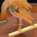 서향&아리산 이미지