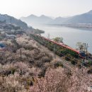 원동문화체육센터 이미지