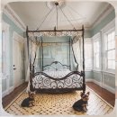 구리동물보호센터 이미지