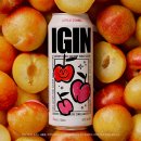 GS25덕진광장점 | 도수낮은술을 찾는다면 BTS진과 함께하는 GS 편의점 하이볼 아이긴(IGIN) 새콤토닉