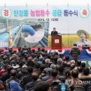 용정리 고인돌 이미지