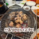 왔다 산아나고구이 | 인천 계양구 숯불 꼼장어 맛집ㅣTV출연 산꼼장어아나고구이