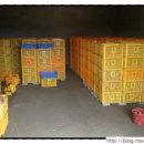 노좌1리 이미지