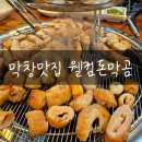 거제수월맛집 현지인맛집 막창맛집 꼬돌빼기 꼼장어 웰컴돈막곰