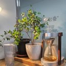 다산동사무소 이미지