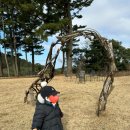 또래뜰어린이집 이미지