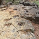 함안 명관리 공룡발자국 이미지