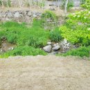 나무아래분식 이미지