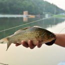 지곡낚시터 이미지