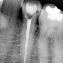 손영진치과의원 이미지